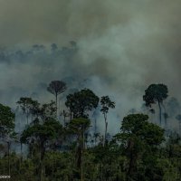 What burns in the Amazon?